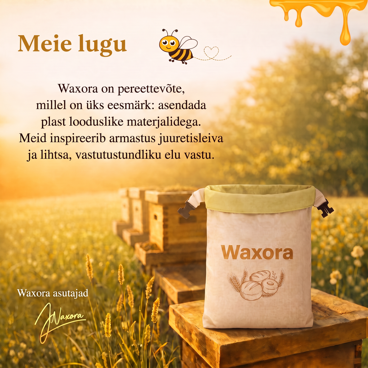 Meie lugu
