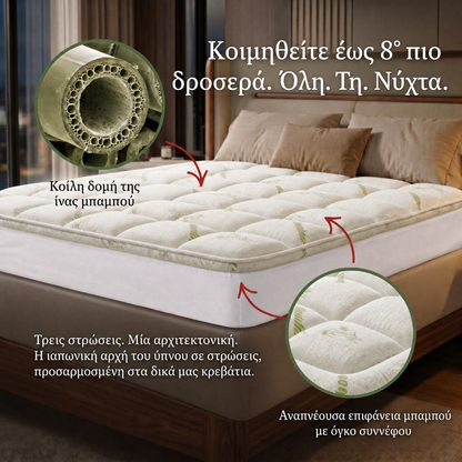 Σχεδιάγραμμα των τριών στρώσεων του ανώστρωματος Kumora