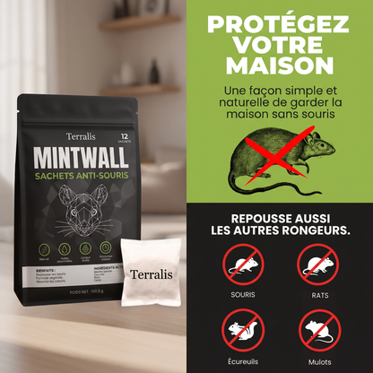 Mintwall MTW-CH