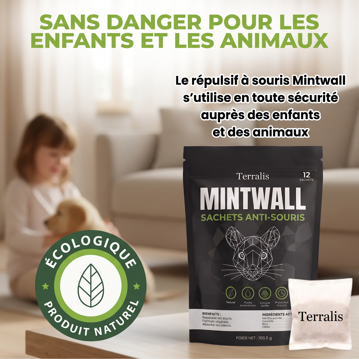 Mintwall MTW-CH