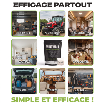 Mintwall MTW-CH