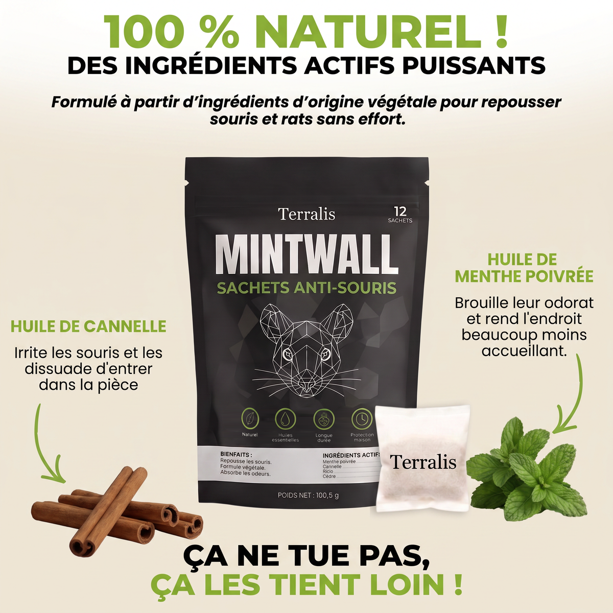 Mintwall MTW-CH