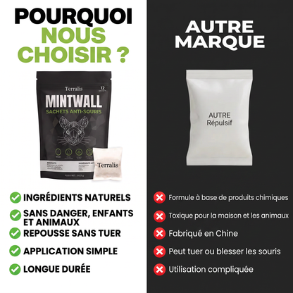 Mintwall MTW-CH