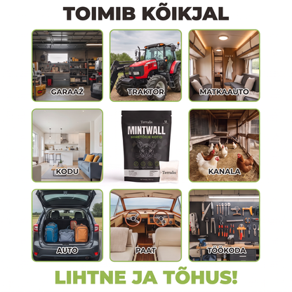 Mintwall MTW-EE