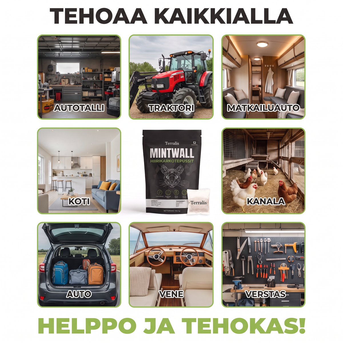 Mintwall MTW-FI