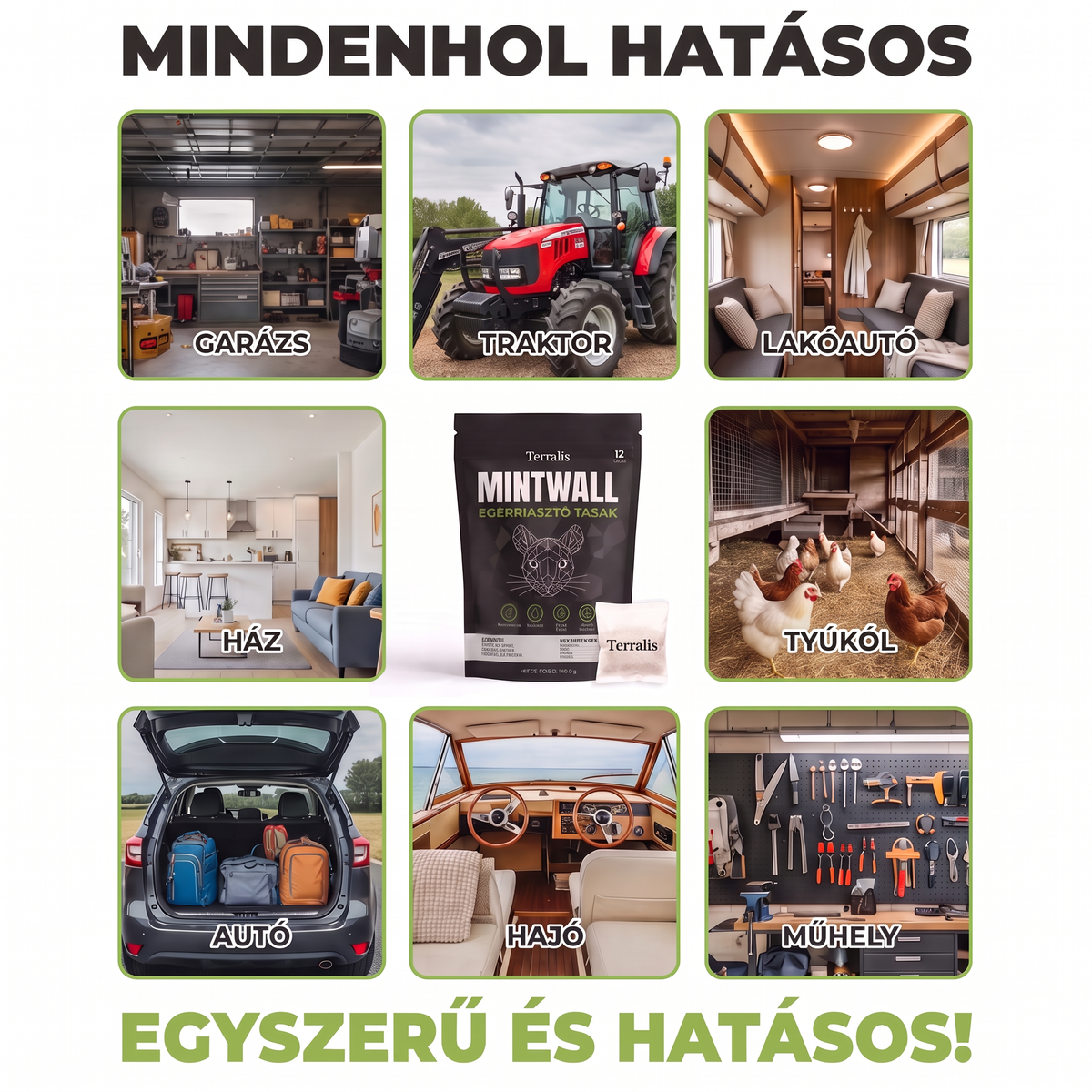 Mintwall MTW-HU