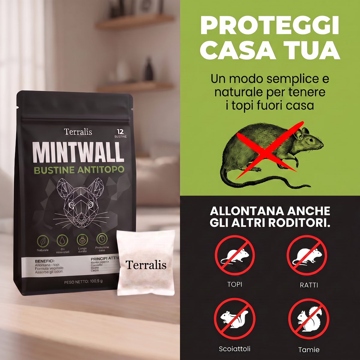 Mintwall IT bas de page