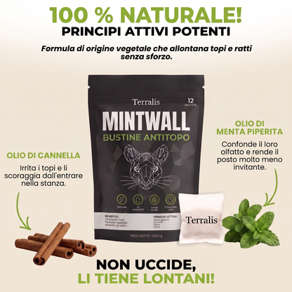 Mintwall MTW-IT