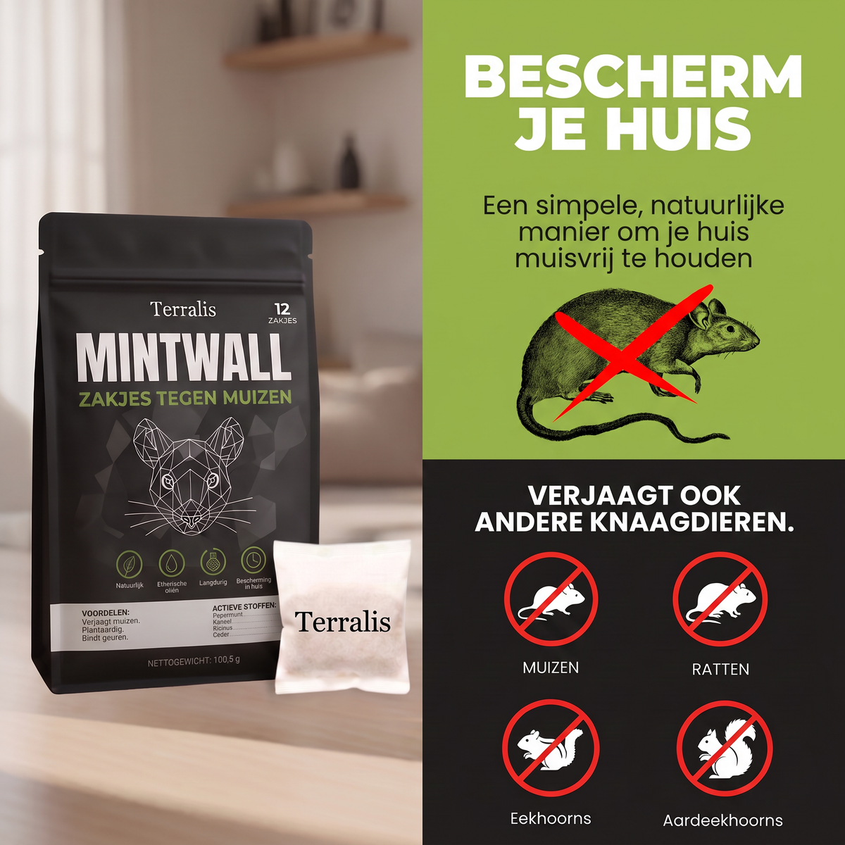 mintwall NL slide 02
