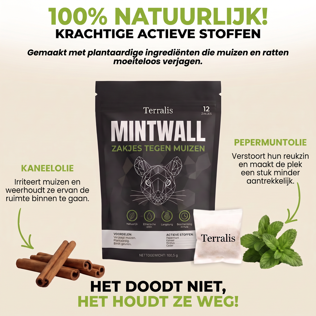 Mintwall MTW-NL